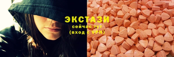 индика Няндома
