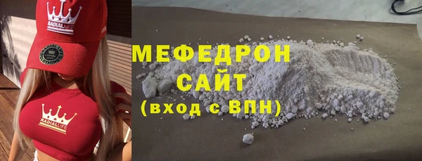 индика Няндома
