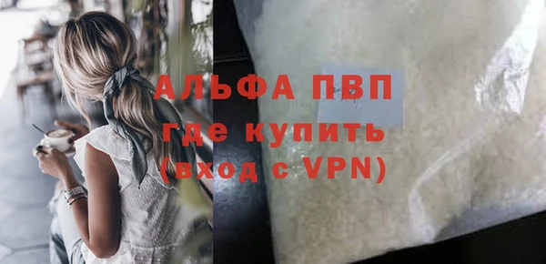 индика Няндома