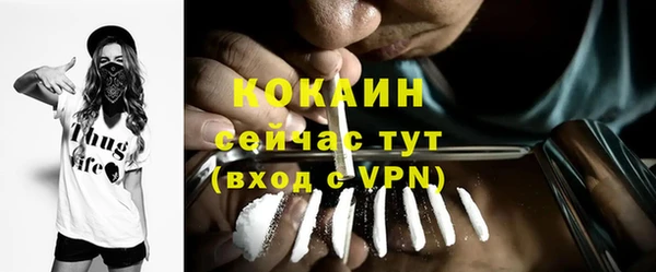 твердый Новозыбков