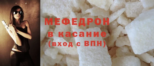 индика Няндома