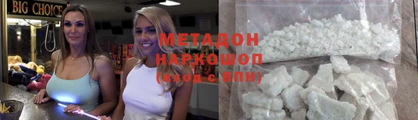 индика Няндома