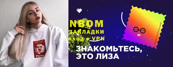 индика Няндома