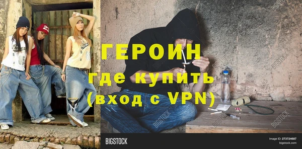 индика Няндома