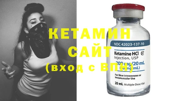 индика Няндома