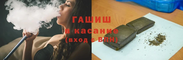 индика Няндома