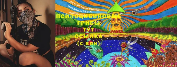 марки lsd Нязепетровск