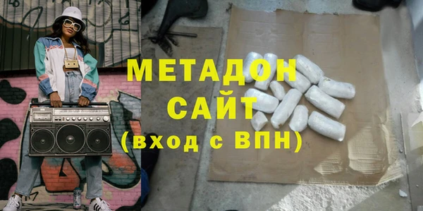 индика Няндома