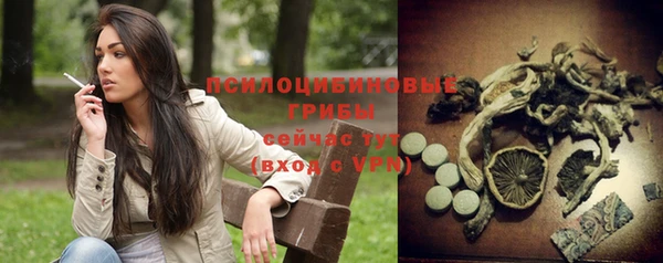 индика Няндома