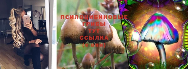 ешки Нягань
