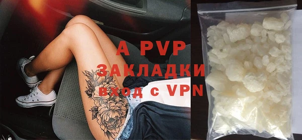 индика Няндома
