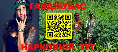 сатива Донской