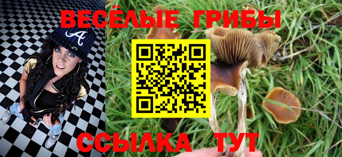 Псилоцибиновые грибы GOLDEN TEACHER Кировск