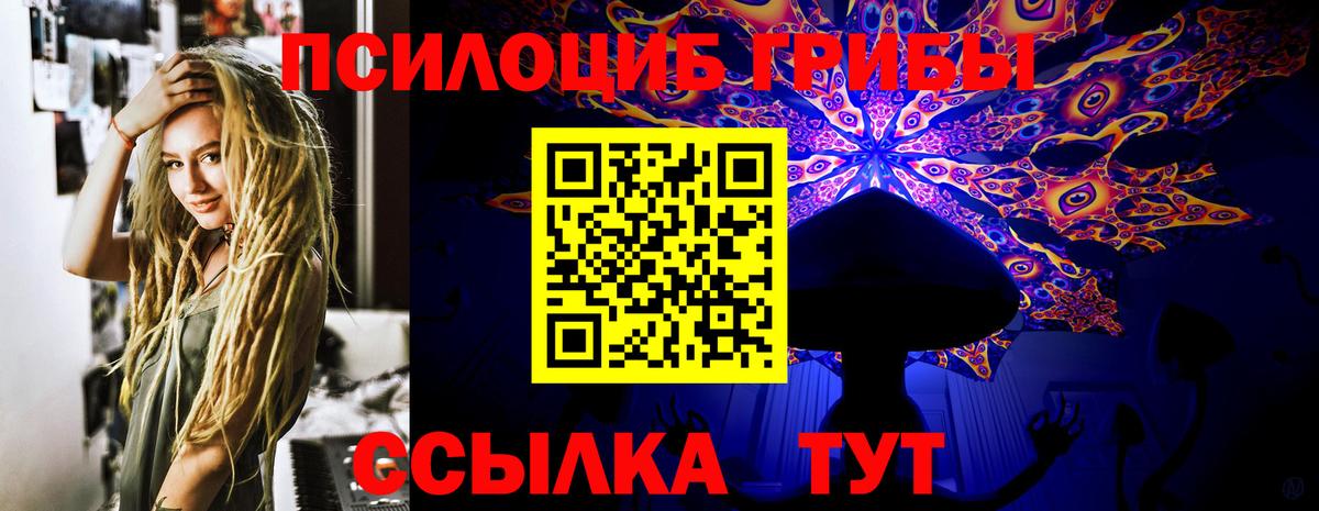 Лсд 25 Кировск