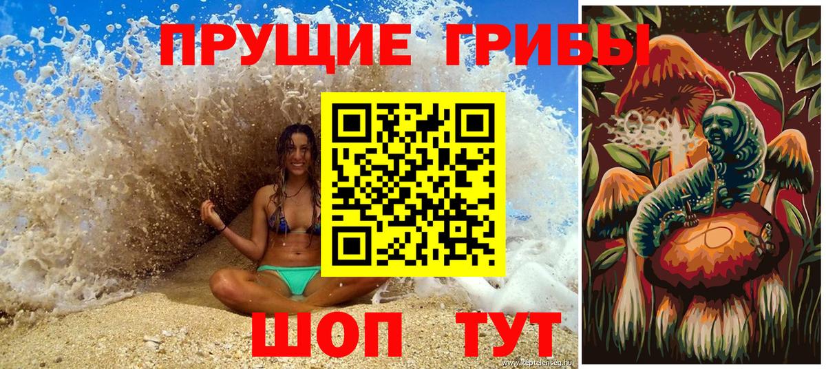 Галлюциногенные грибы GOLDEN TEACHER  Вход с VPN  Псилоцибиновые грибы мухоморы  Кировск 