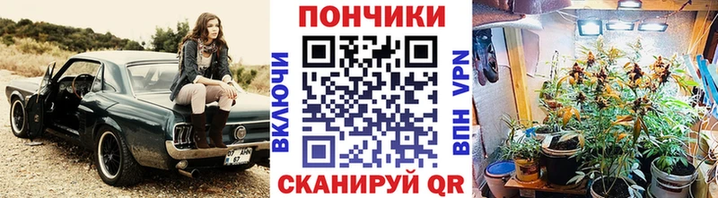 Бошки марихуана SATIVA & INDICA  Кировск 