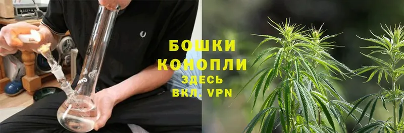 Каннабис Ganja  Кировск 